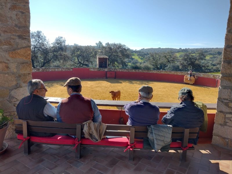 El Bolsín del Circuito de Andalucía con fecha y ganaderías