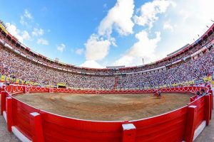 Los astados de Juan Bernardo Caicedo para Manizales
