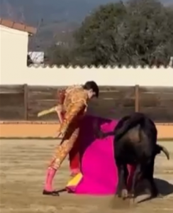 El novillero Sergio Rollón vuelve a torear