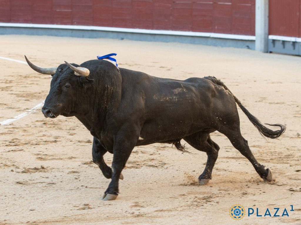 Una corrida de Palha para cerrar el mes de abril en Madrid