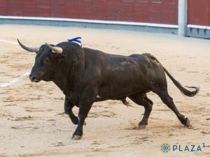 Una corrida de Palha para cerrar el mes de abril en Madrid