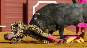 De la cornada al regreso al ruedo