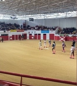 Dos orejas para Julio Martín en la novillada de Arzacq
