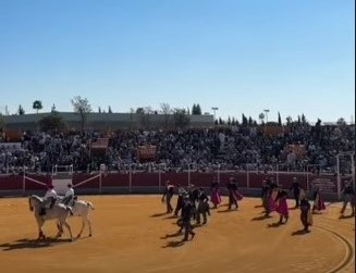 Buen toreo en el festival taurino de Pineda