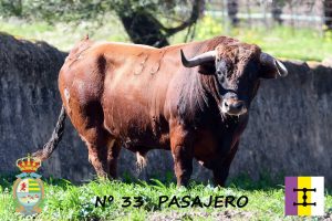 Segundo ejemplar de Cuadri para Villaseca de la Sagra
