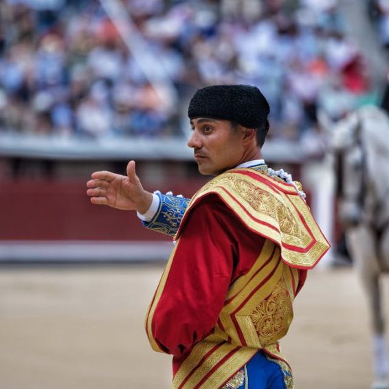 Gómez del Pilar lanza su canal oficial de WhatsApp