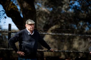 Fernando Pizarro sobre los toros de Dolores Aguirre de Madrid