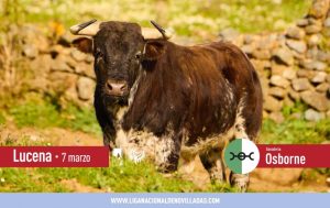 Los astados de Osborne para la novillada de Lucena