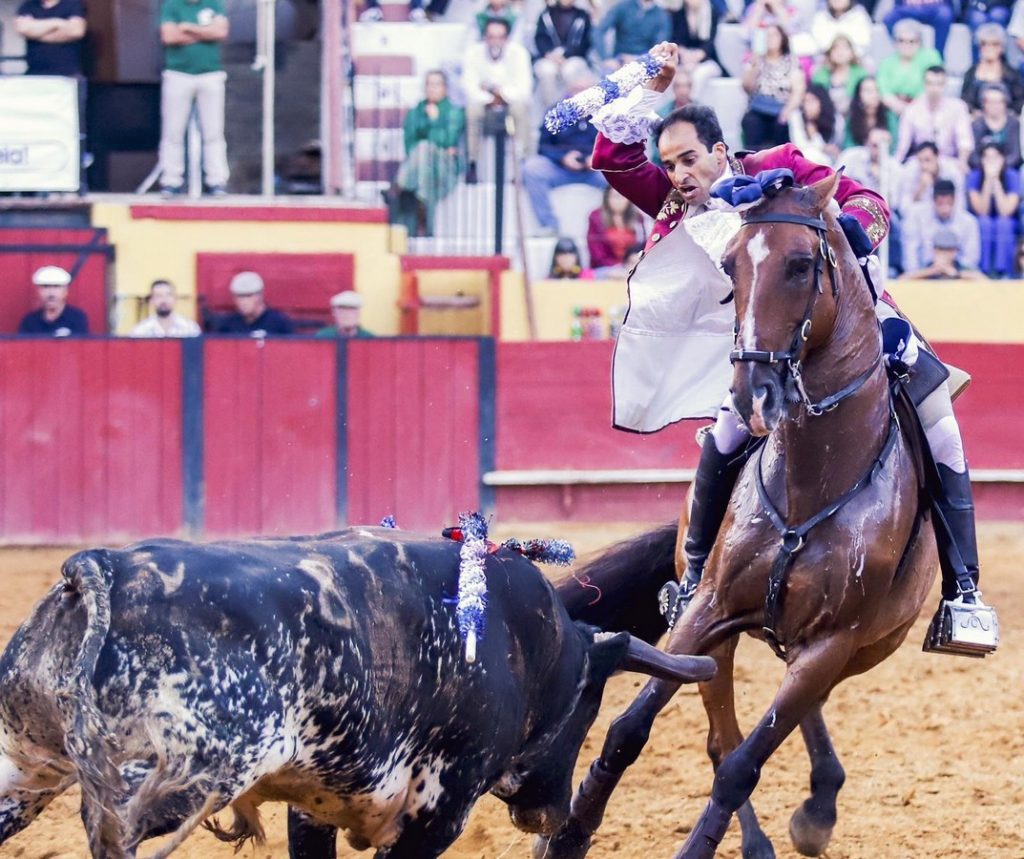 Salgueiro Da Costa: la dinastía continúa en Almendralejo