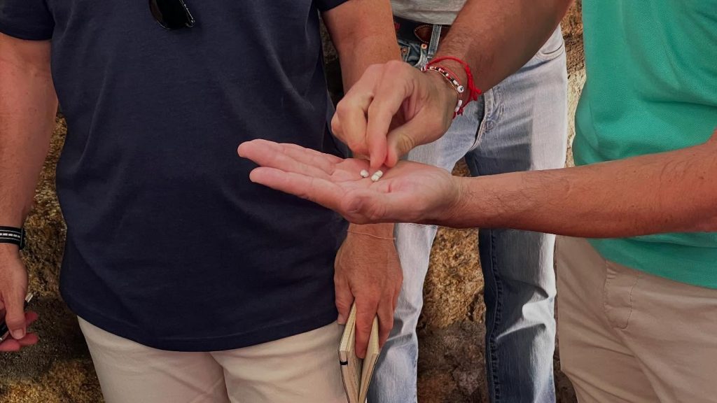 Los ejemplares de Victoriano del Río para la última de Olivenza