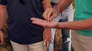 Los ejemplares de Victoriano del Río para la última de Olivenza