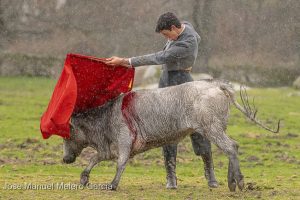 Diego García se recrea en la belleza toreando bajo la lluvia