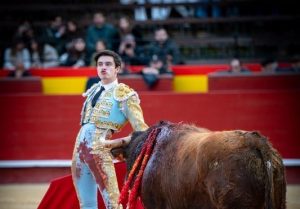 Dimensión de Mario Vilau en Fallas
