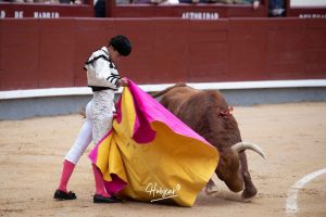 Tarde de silencios en la primera novillada del año en Las Ventas