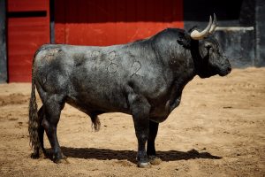 Orden de lidia de los toros de Victorino Martín para Sevilla