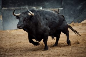 Los astados de Victoriano del Río para hoy en Sevilla