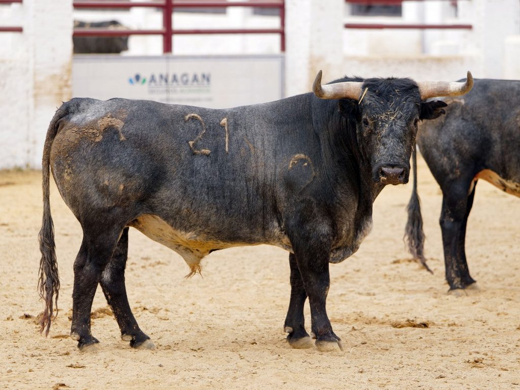 Los ejemplares de Miura para la última de la Feria de Abril