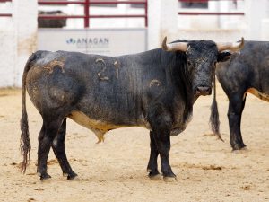 Los ejemplares de Miura para la última de la Feria de Abril