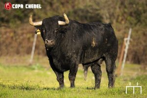 Condessa de Sobral y Guerrero y Carpintero para Algete