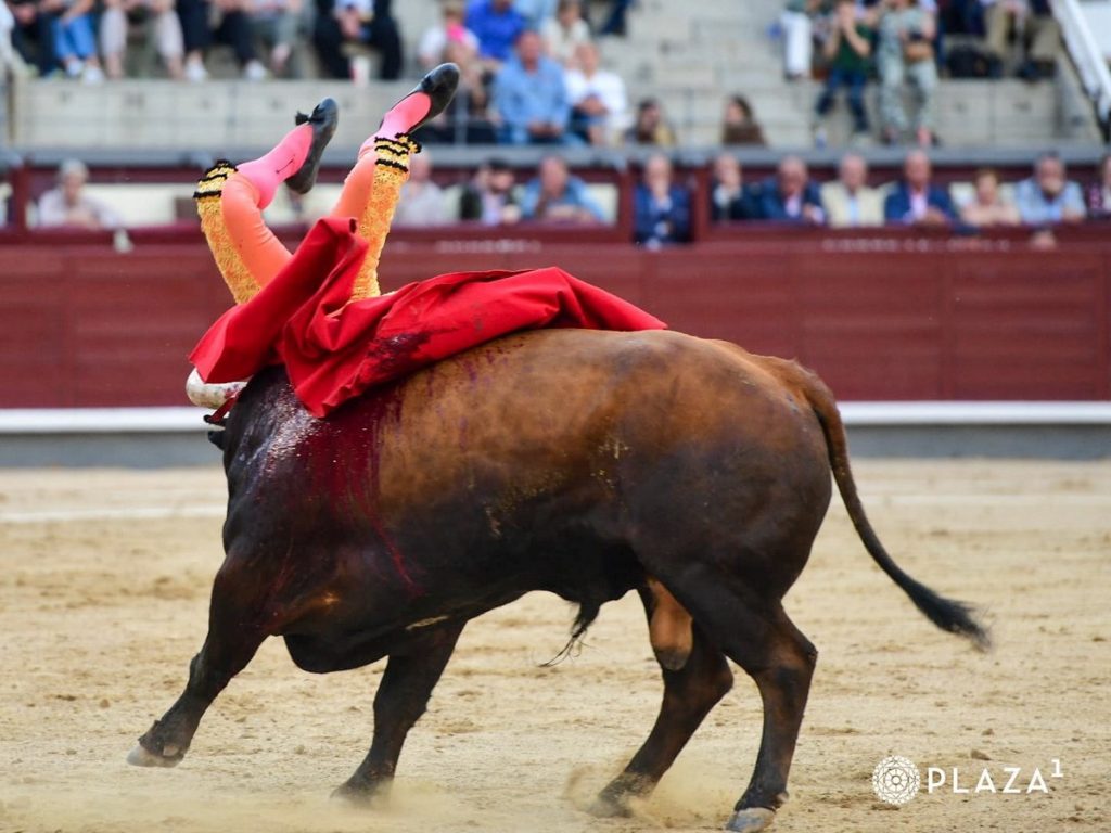 Parte médico de Luis Gerpe