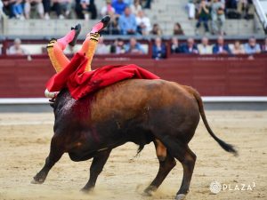 Parte médico de Luis Gerpe