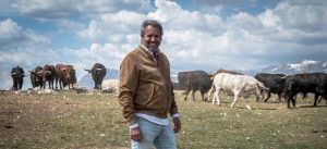 Toros de Ayuso, debut en público y en Las Ventas
