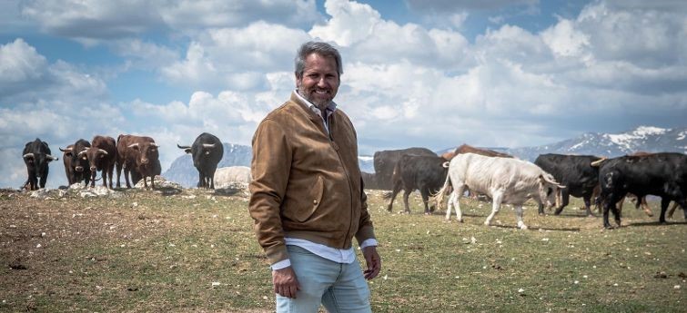 Toros de Ayuso, debut en público y en Las Ventas