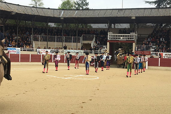 Triunfo y percance en la novillada de Garlin