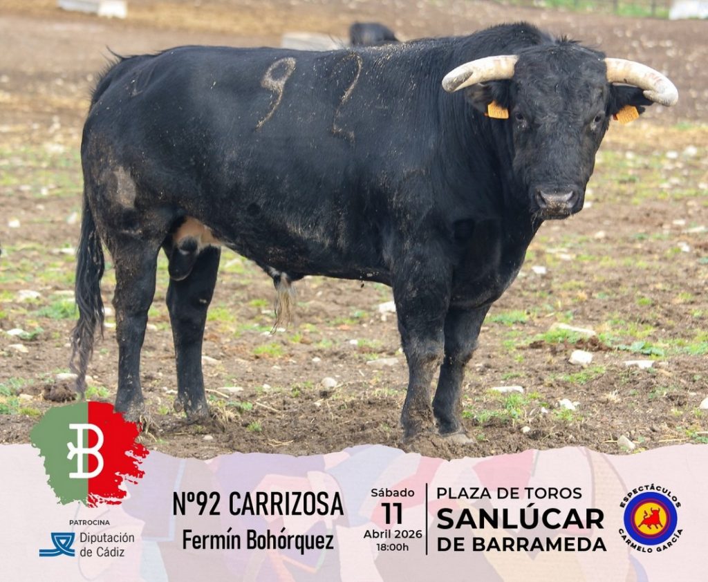 Los toros de Fermín Bohórquez para Sanlúcar de Barrameda