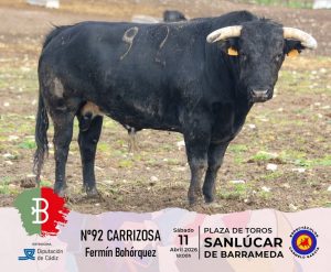 Los toros de Fermín Bohórquez para Sanlúcar de Barrameda