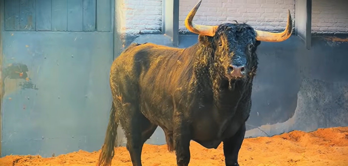 Desembarcados los toros de Martín Lorca en Las Ventas