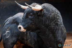 Los astados de Montealto para la primera novillada de San Isidro