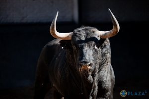 Orden de lidia de los toros de Garcigrande para Madrid