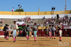 Carteles para la Feria del Novillo de Hagetmau