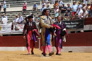 Pedro Luis, vuelta al ruedo en Vic-Fezensac