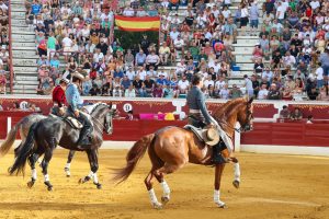 Los aceros dejan sin premio la corrida de rejones de Torrejón