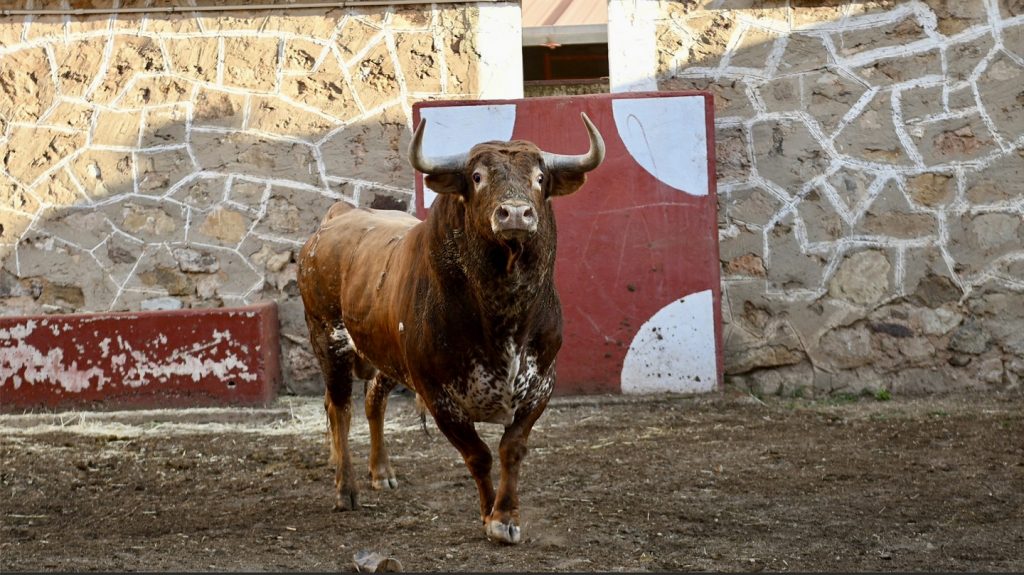 Orden de lidia de los toros de Peñajara para Soria