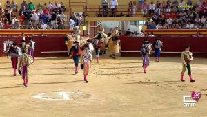 Reseña de las novilladas de Rozas de Puerto Real y Almazán