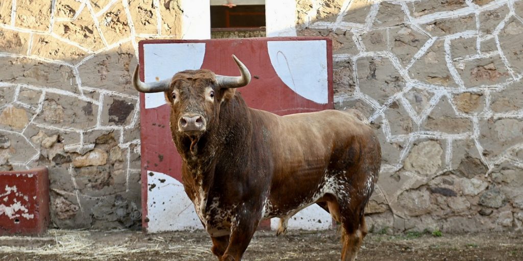 Las 'joyas' de Peñajara ya están en Soria