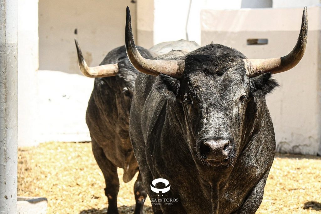 Orden de lidia de los toros de José Escolar para Pamplona