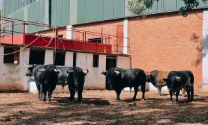 "Obediente", de Luis Algarra, cierra la Feria de Burgos 2026