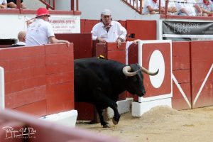 Reseña de los festejos de Orthez y Beaucaire