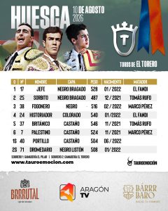 Orden de lidia de los toros de El Torero para esta tarde en Huesca
