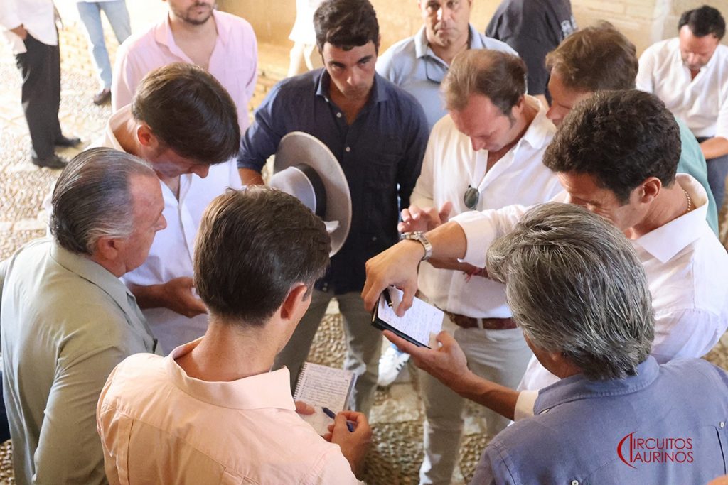 Los toros de Núñez del Cuvillo para El Puerto