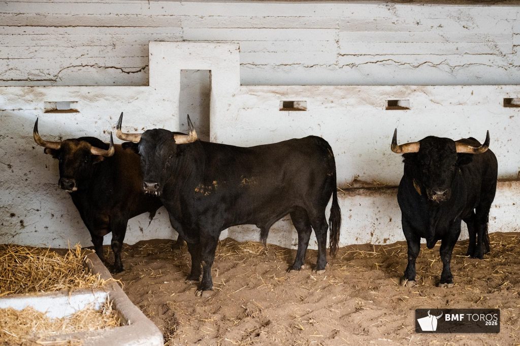 Orden de lidia de los toros de Victoriano del Río para Bilbao