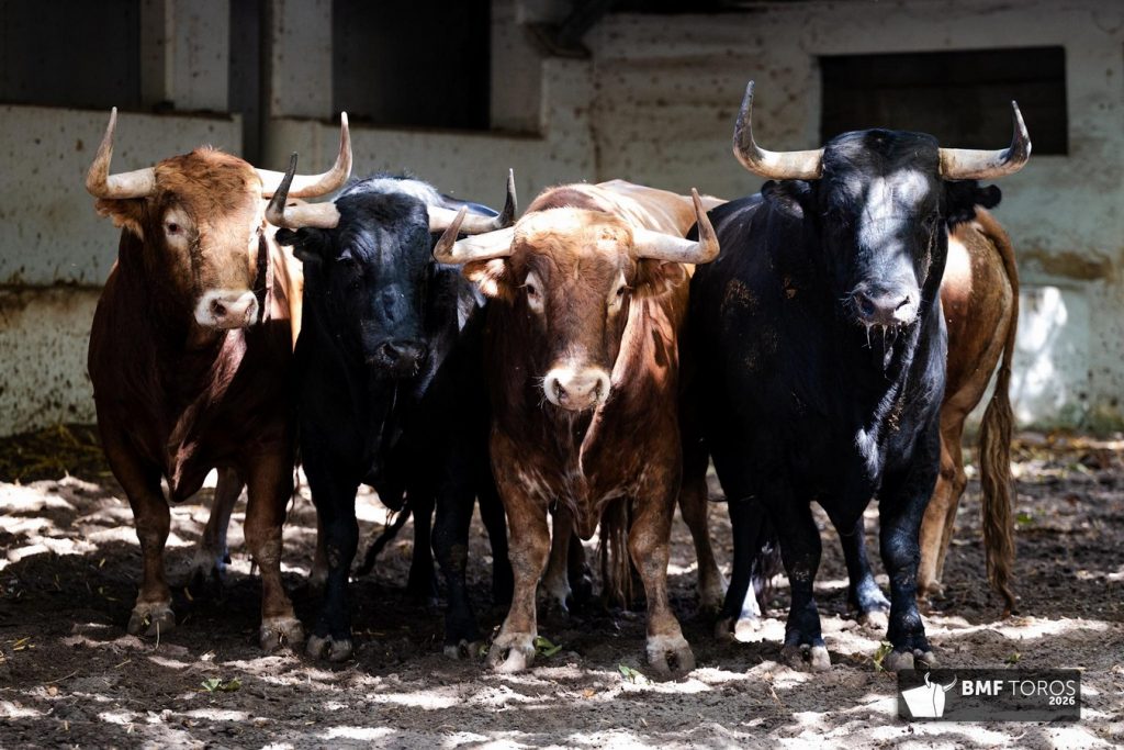 Orden de lidia de los toros de Domingo Hernández para Bilbao