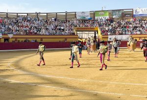 Almodóvar del Campo comienza la renovación de abonos