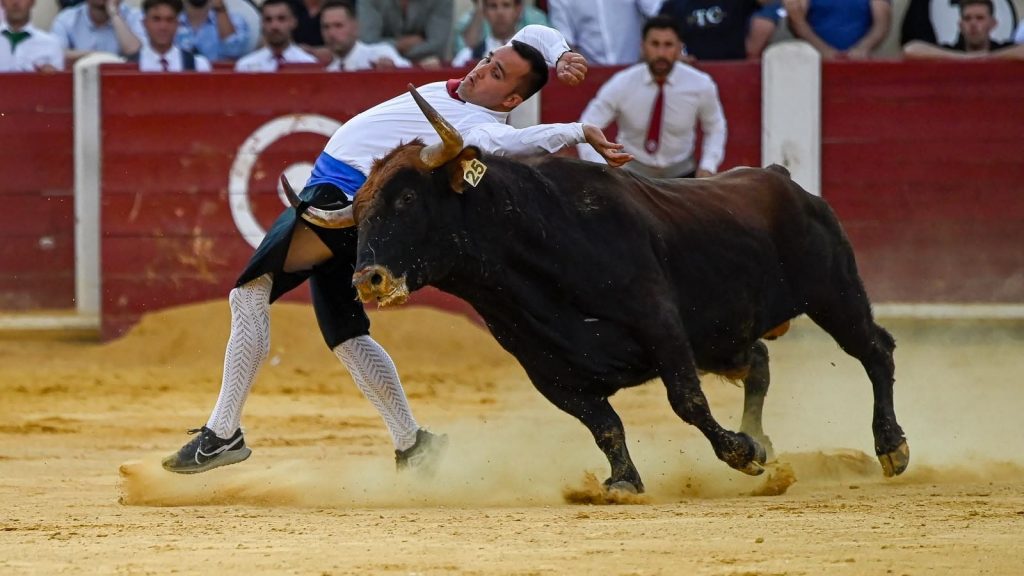 Valladolid reúne a los grandes especialistas del corte