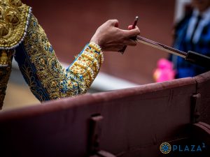 Oreja para los tres novilleros en San Sebastián de los Reyes