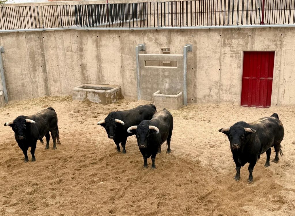 Orden de lidia para la corrida de toros mixta de Ciudad Real